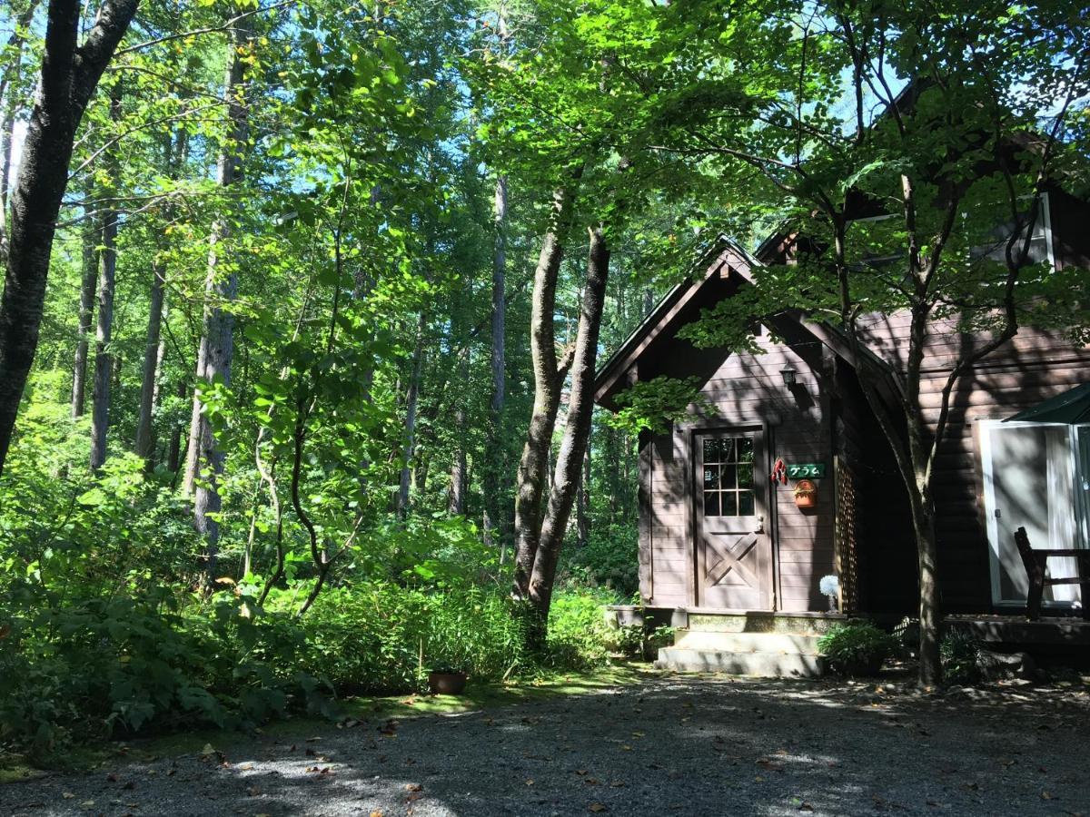 Hakuba Cottage Gram Exteriér fotografie